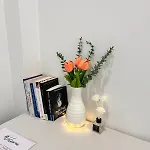 A Cozy Retreat In Thao Dien R04